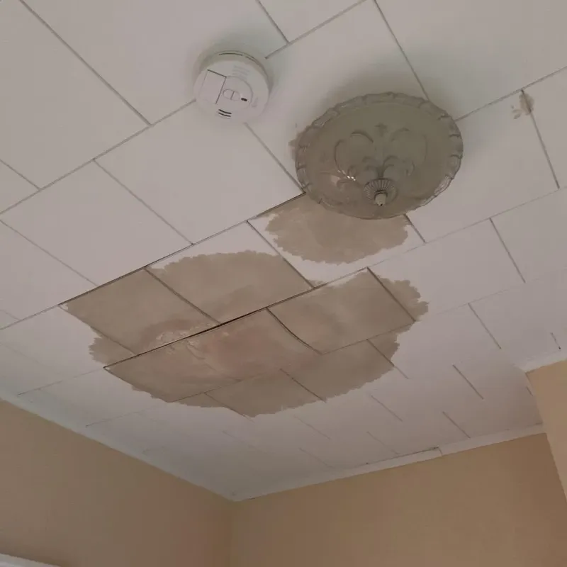 Ceiling Water Damage Repair in Le Flore County, OK