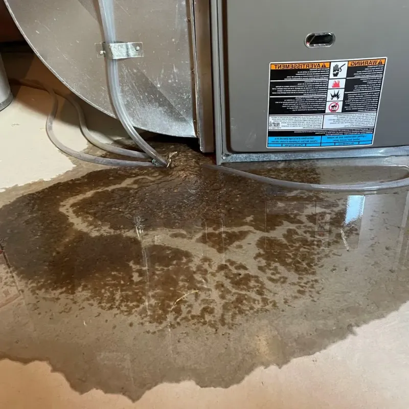 Pipe Burst and Leak Restoration in Le Flore County, OK